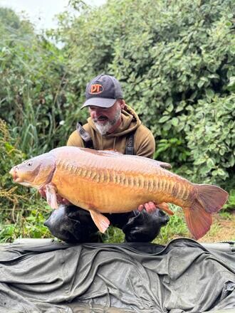 Carp